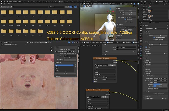 aces2.0_ociov2_texture_scene_linear_role_acescg