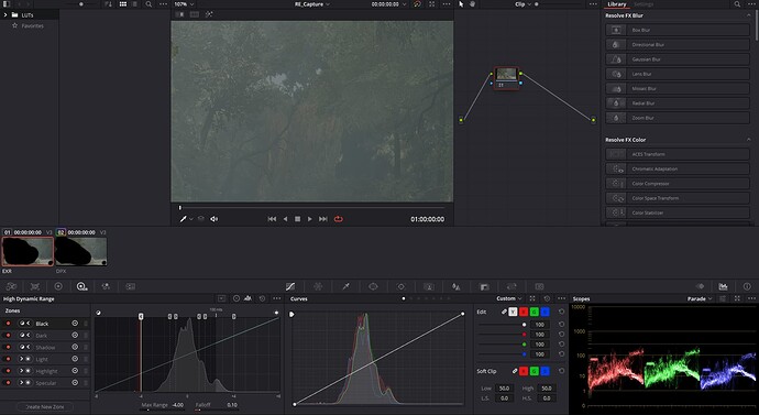 DavinciResolve_BackBuffer_ImportedEXR.PNG