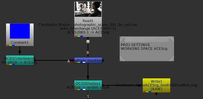 Christophe_NukeACEScg_linsRGBBlueMult-NukeNodes