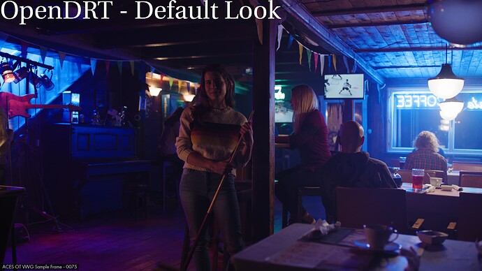 ACES_OT_VWG_SampleFrames_OpenDRT-DefaultLook.0076