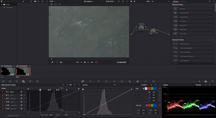 DavinciResolve_BackBuffer_ResolveLive.PNG