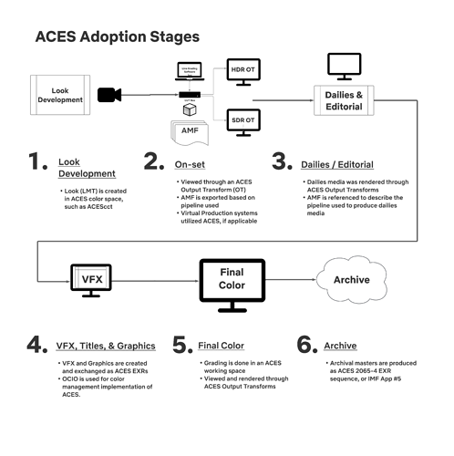 ACES Adoption Stages